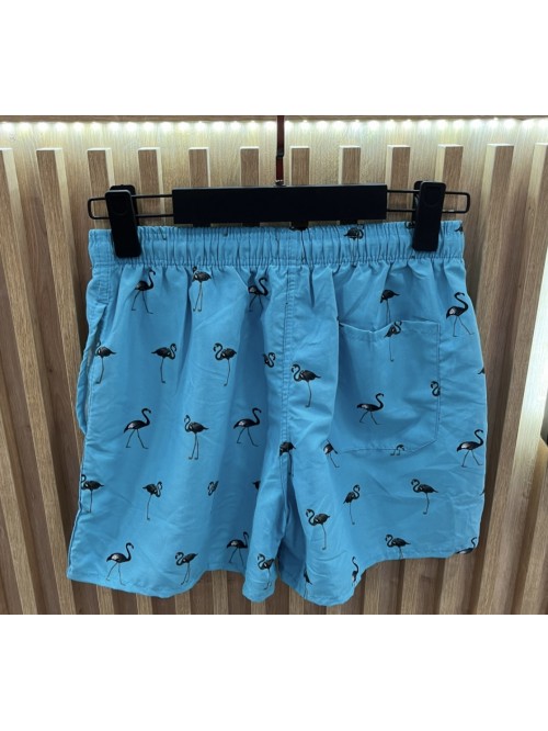 Swim Trunk with Flamingo- Turquoise